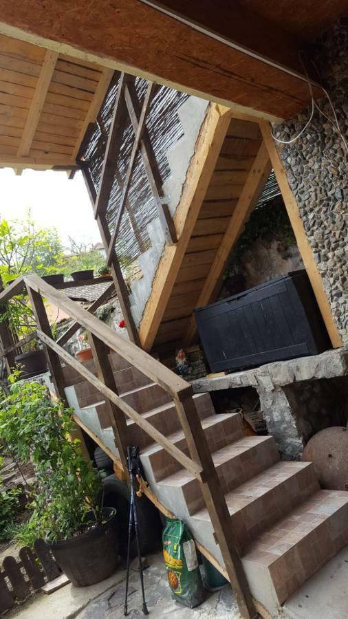 Casa De Oaspeti Dunarea La Cazane Dubova Exterior photo